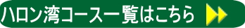 vn_halong.jpg